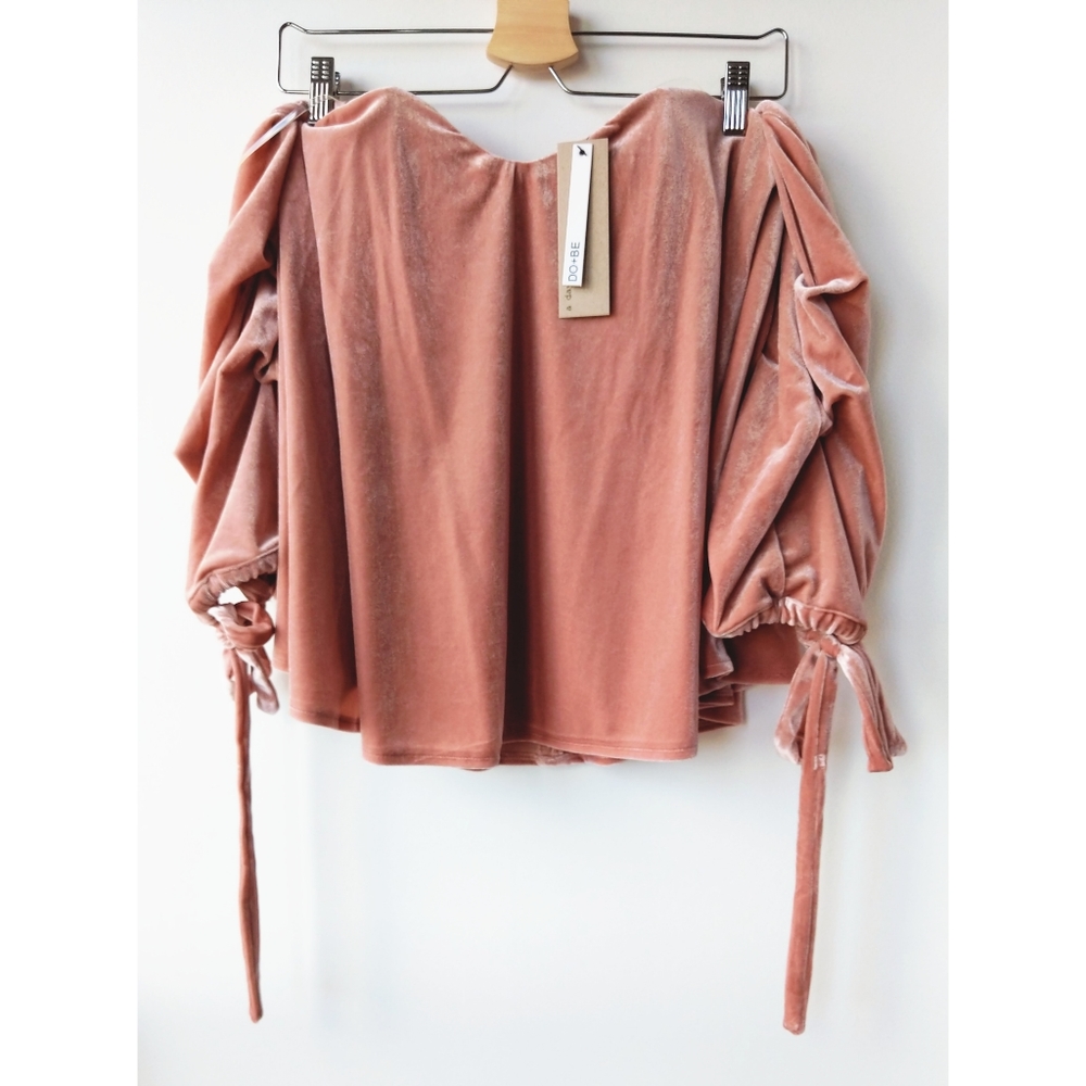 🌟HP🌟  Do+ be off the Shoulder Velvet blouse - Picture 3 of 4